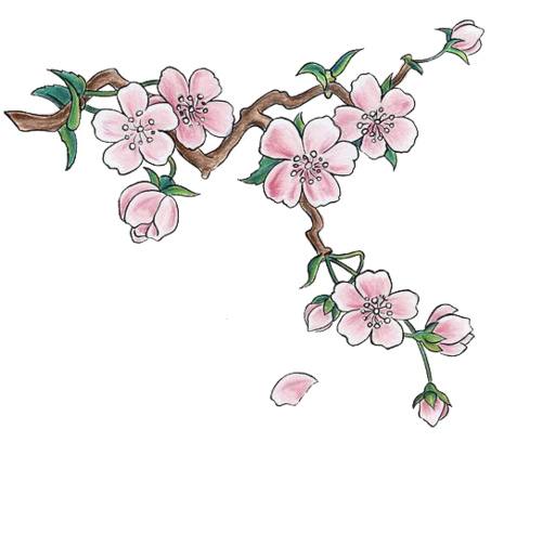 Japanese flower png. Image cherry blossoms animal