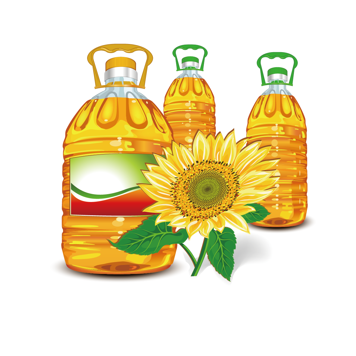 Sunflower oil clip art. Olive clipart vegetable