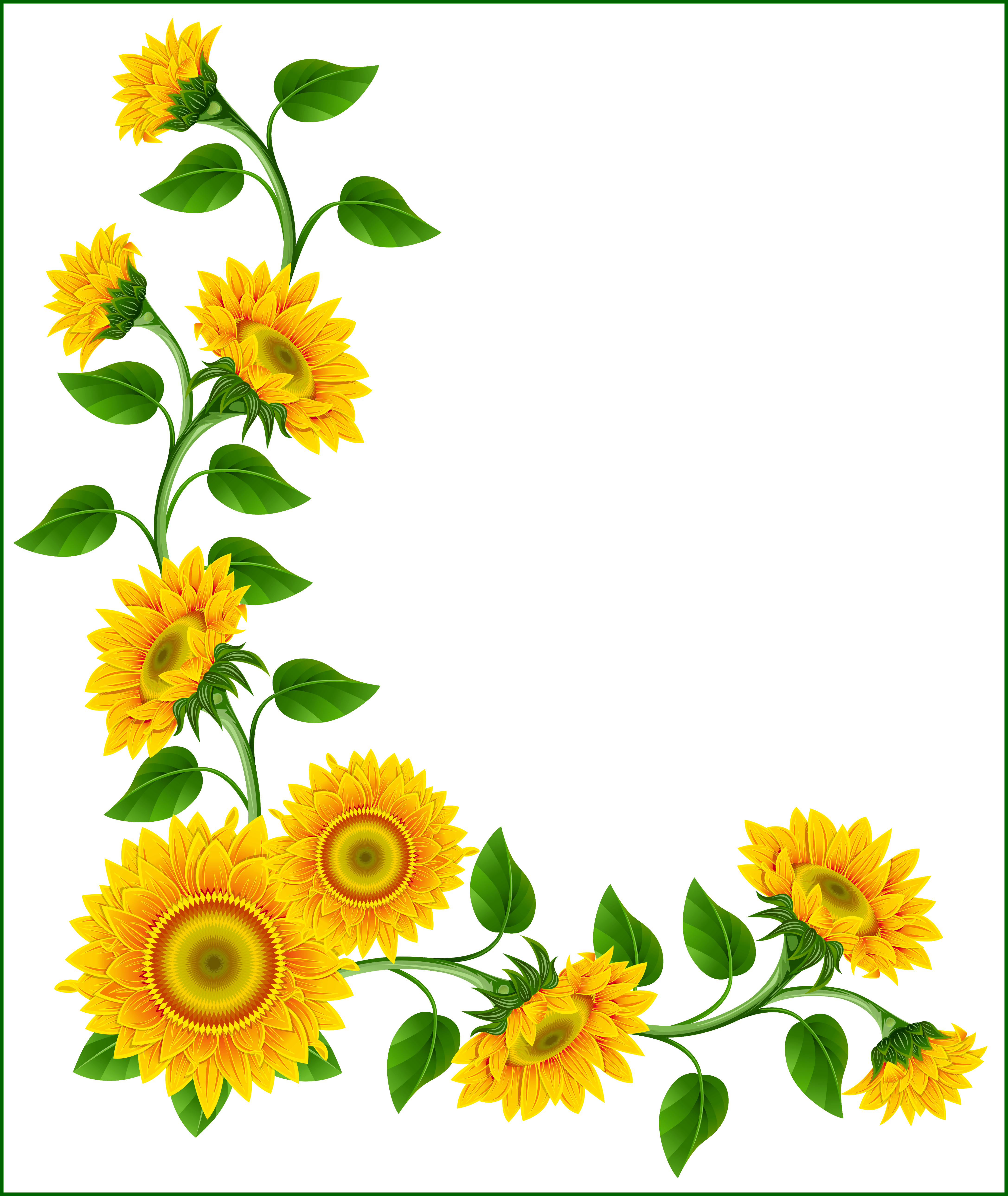 roots clipart sunflower