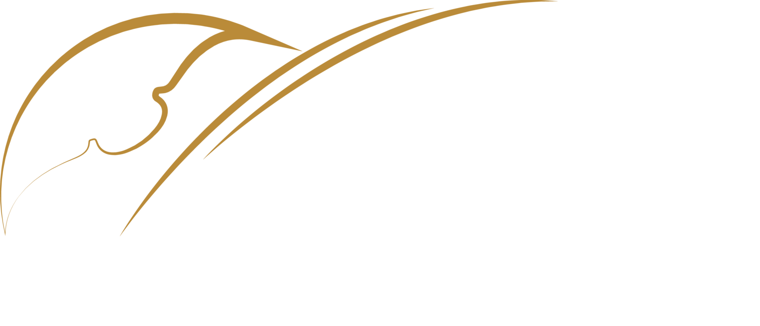 orchestra clipart string quartet