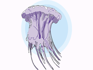 jellyfish clipart animated