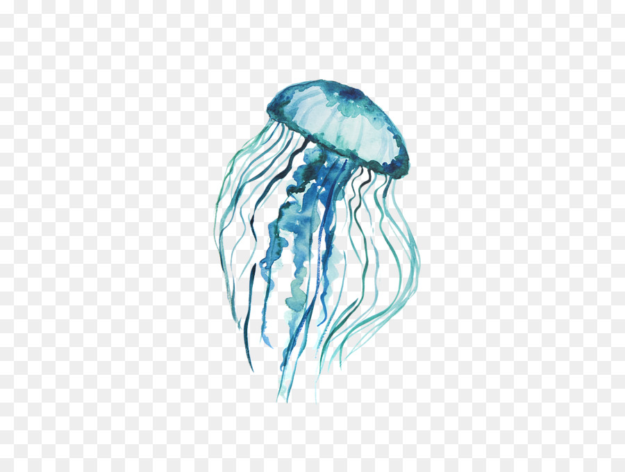 Watercolor cartoon transparent clip. Jellyfish clipart aqua