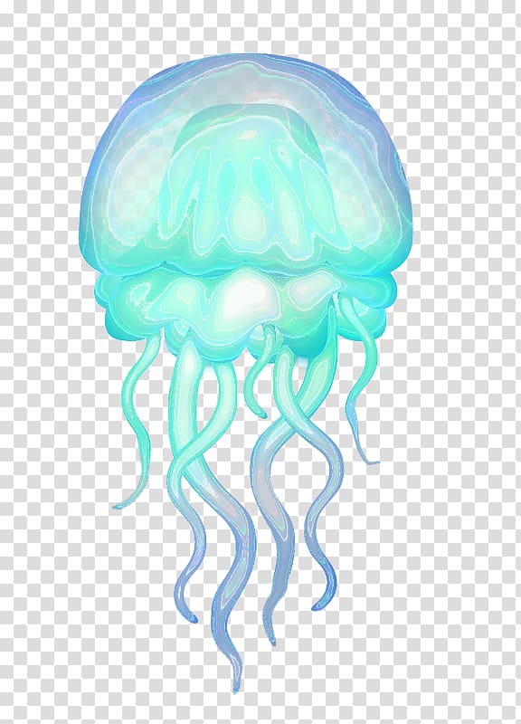 jellyfish clipart aquatic animal