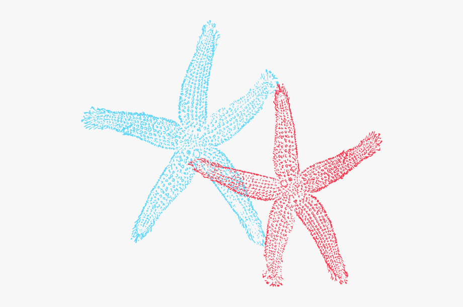 Jellyfish clipart blue starfish. Wendy clip art fish