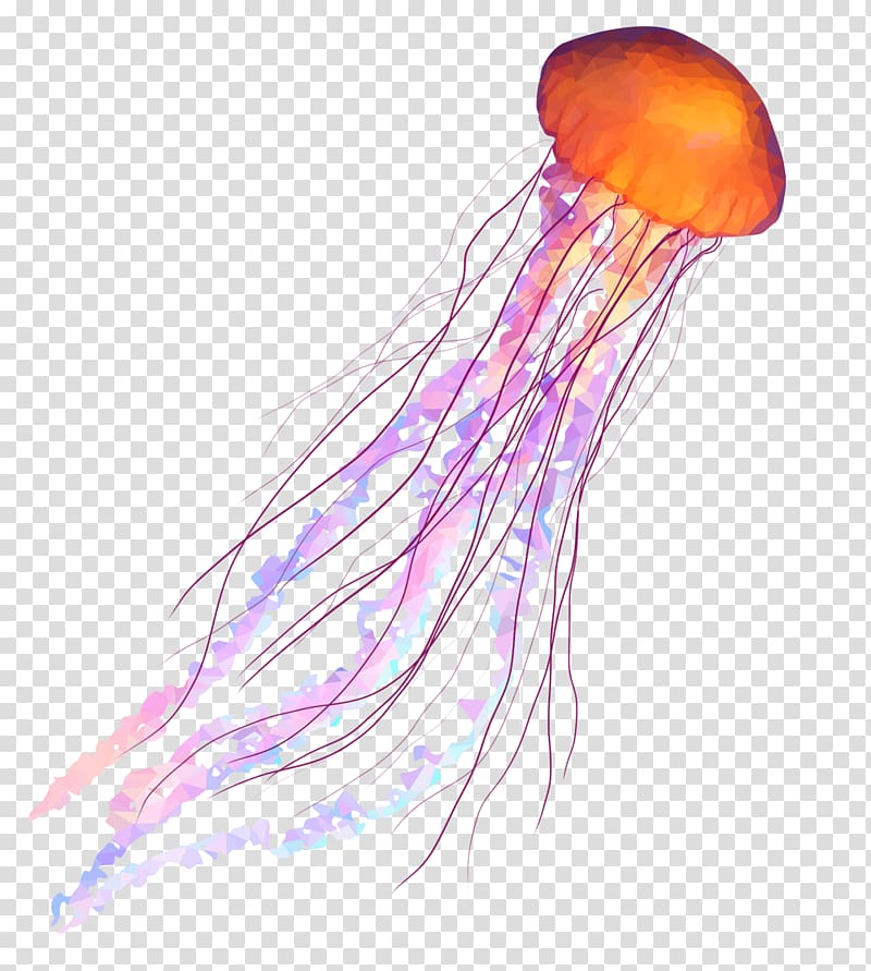 jellyfish clipart box jellyfish
