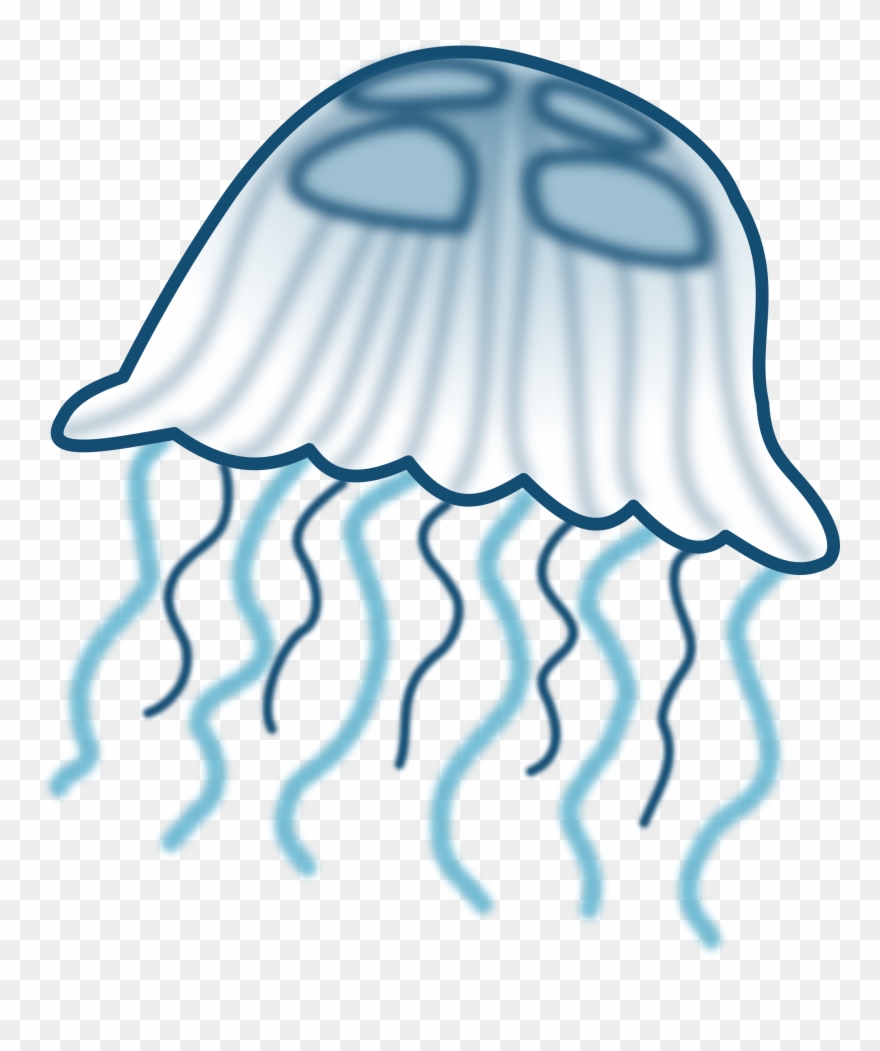 jellyfish clipart cnidarians