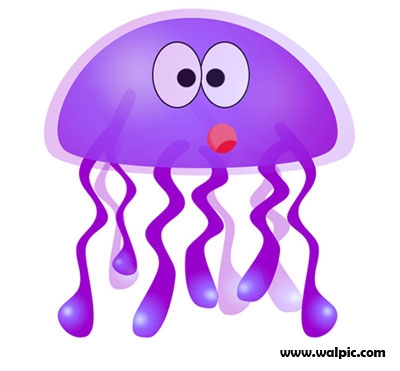 jellyfish clipart colourful