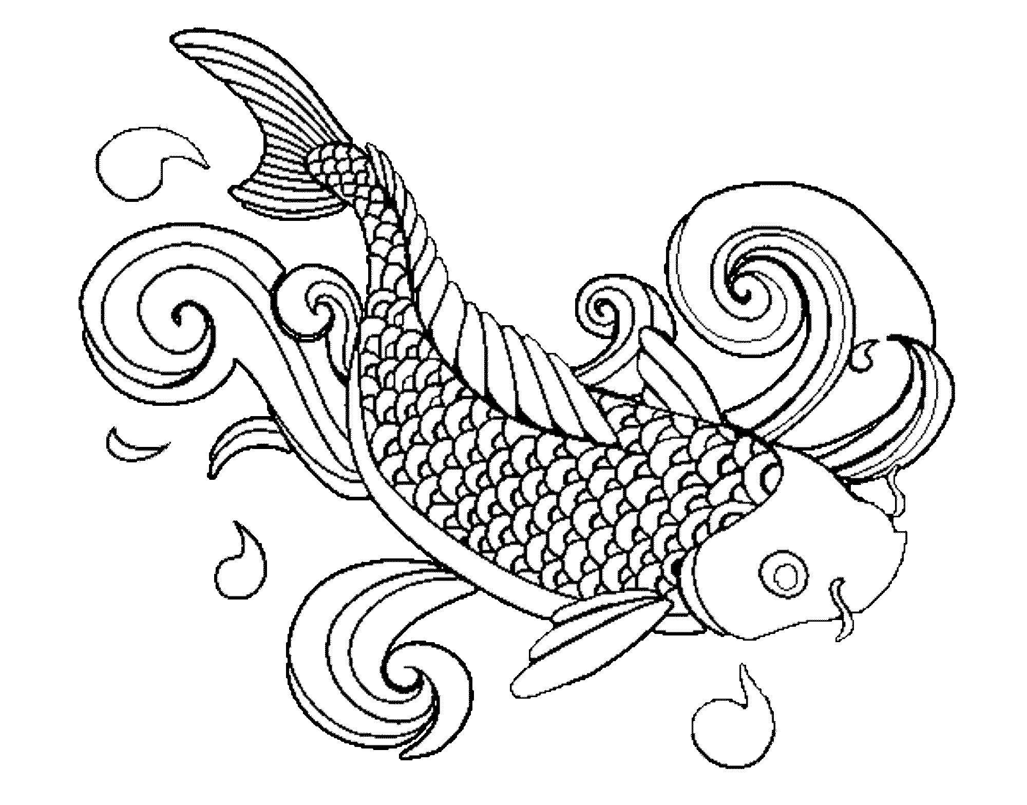 jellyfish clipart colouring page
