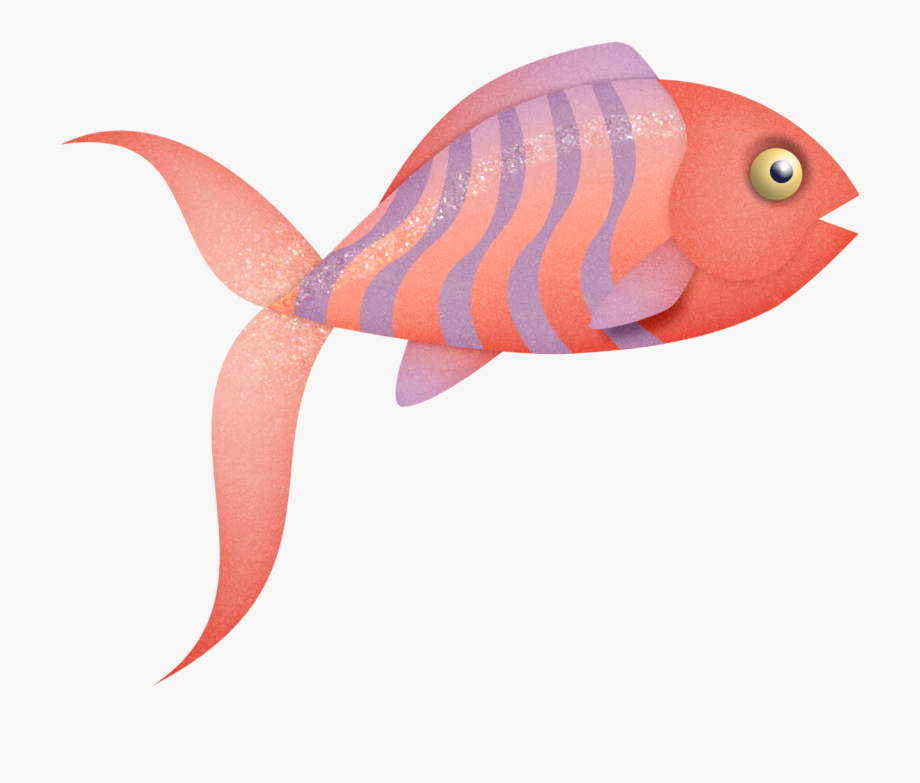 jellyfish clipart coral reef fish