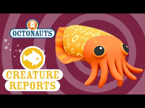 jellyfish clipart creature report