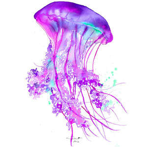 jellyfish clipart face