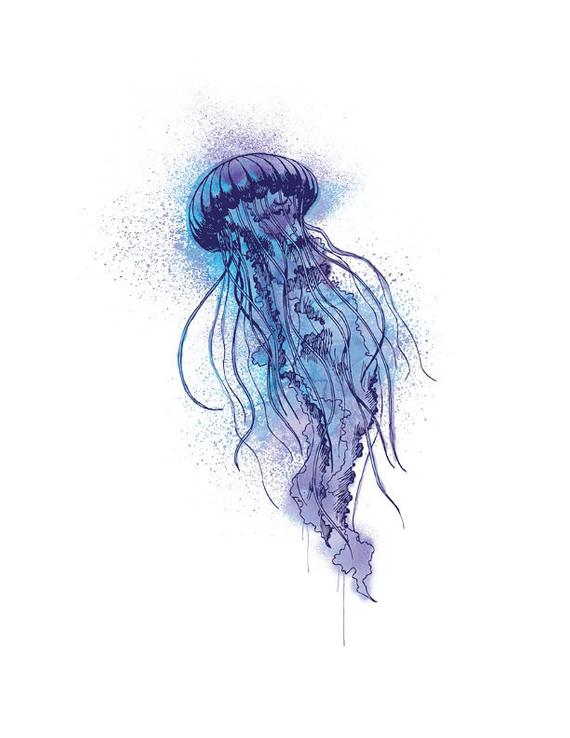 jellyfish clipart fineliner