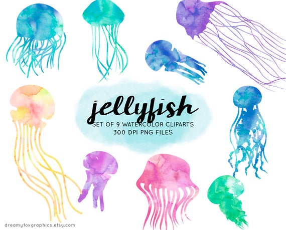 jellyfish clipart jelyfish