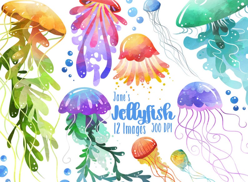 jellyfish clipart jelyfish