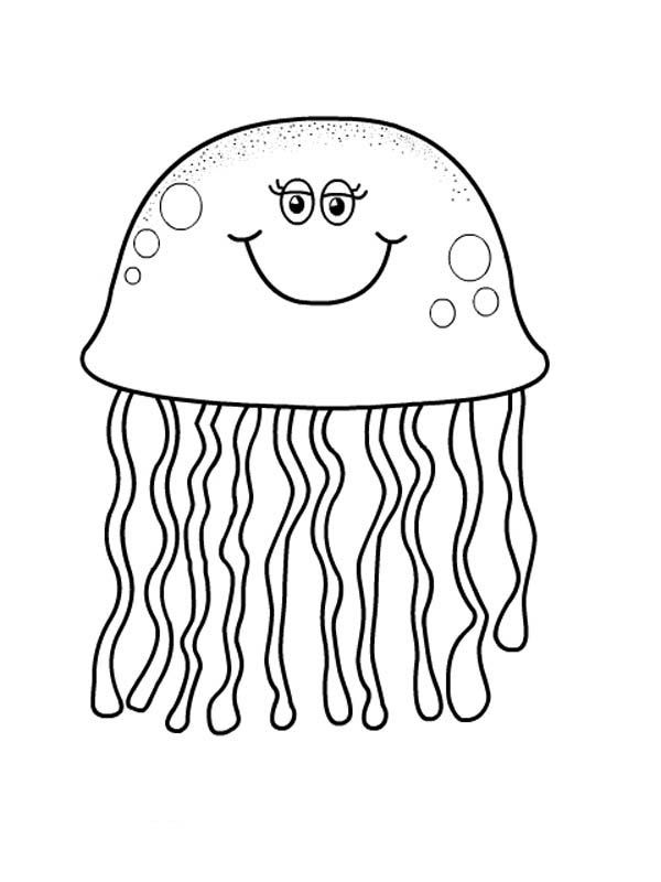 jellyfish clipart kindergarten