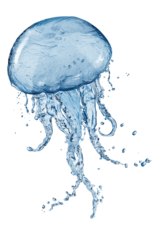 Jellyfish clipart man o war. Water freetoedit sticker by