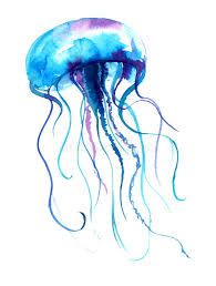 jellyfish clipart medusa