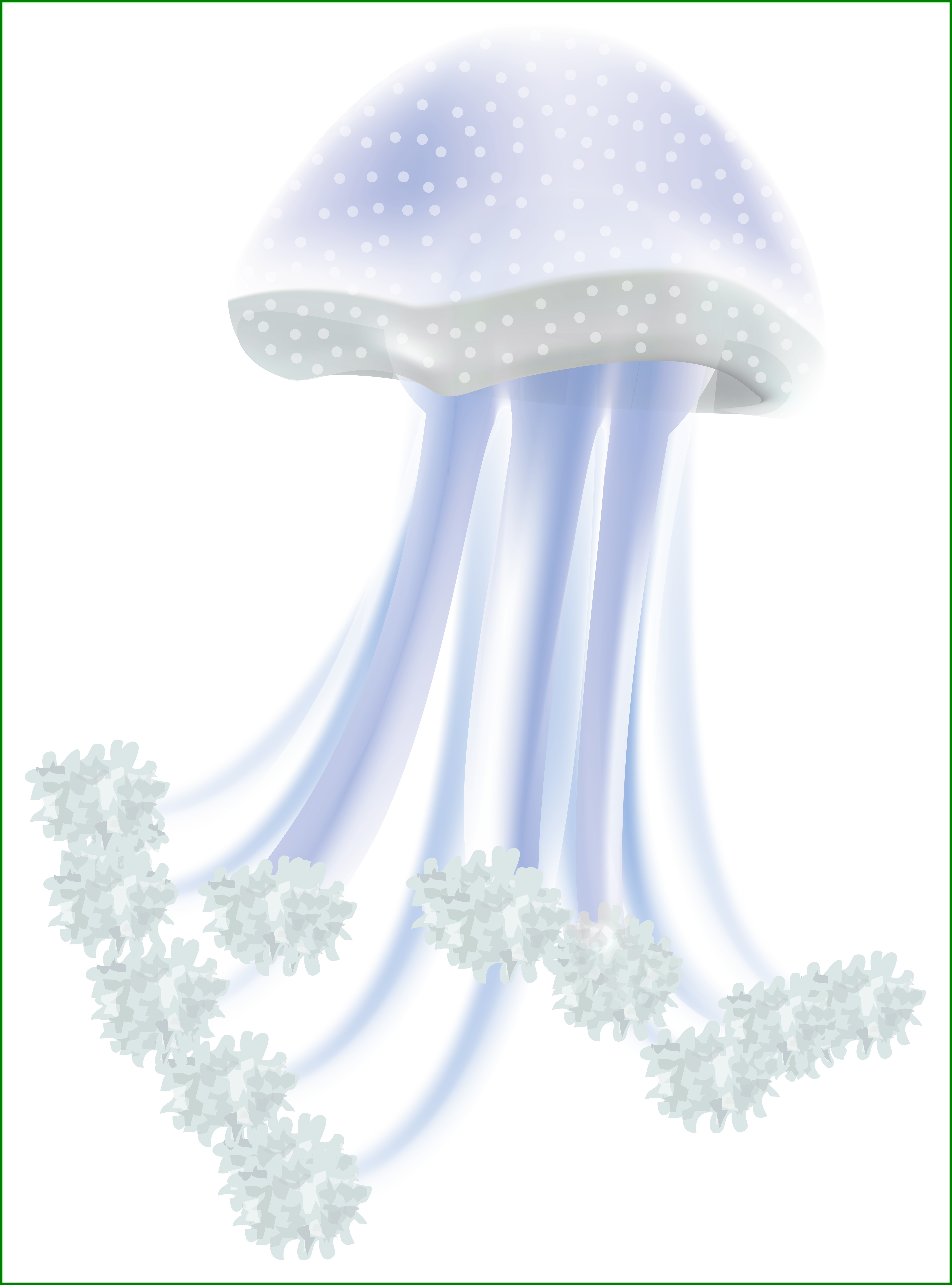 jellyfish clipart moon jellyfish
