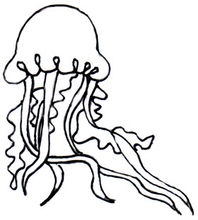 jellyfish clipart outline