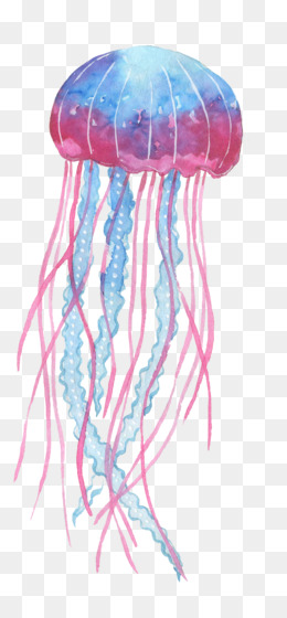 jellyfish clipart sea creature