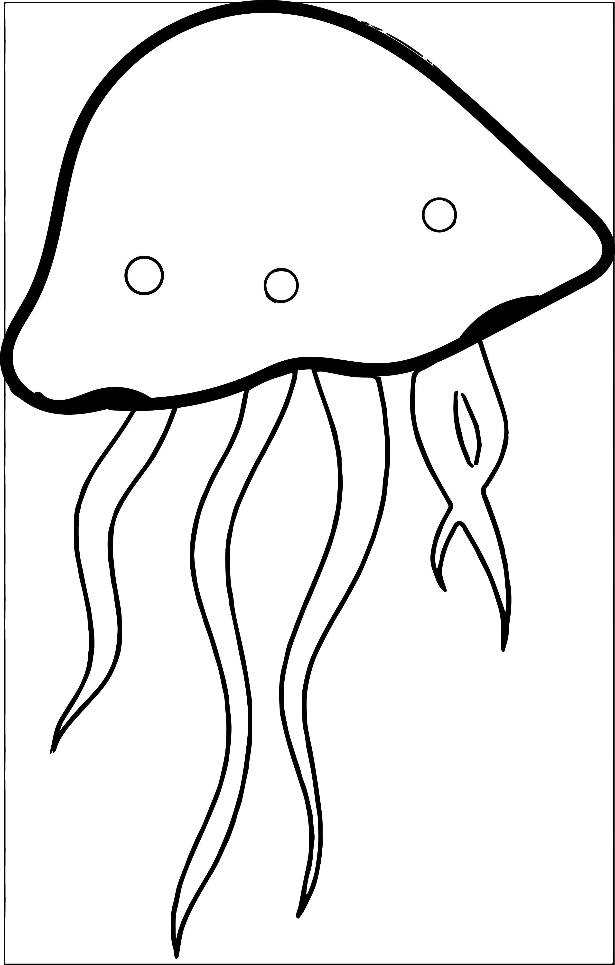 jellyfish clipart sketch