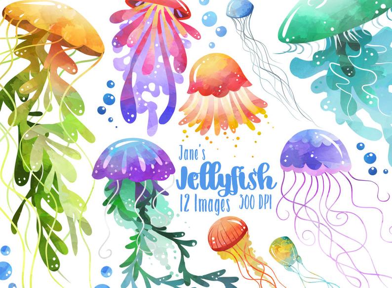 jellyfish clipart thing