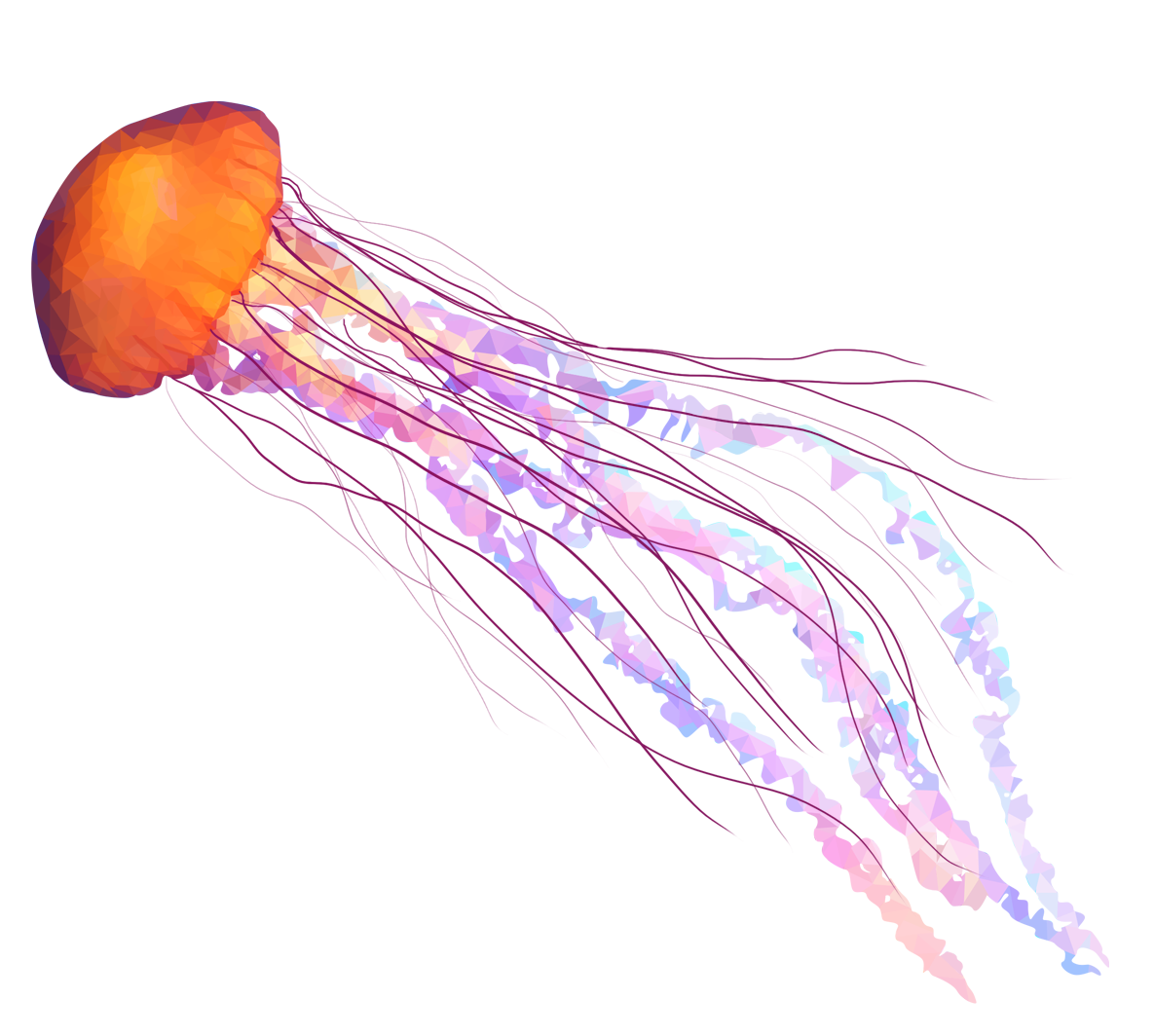 Jellyfish thing