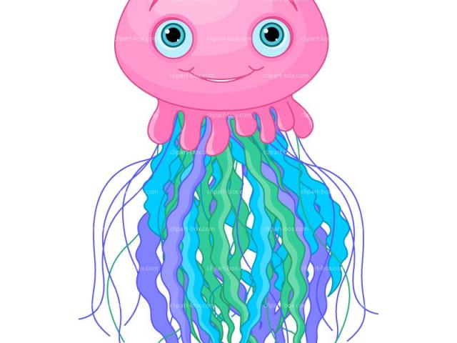 jellyfish clipart three