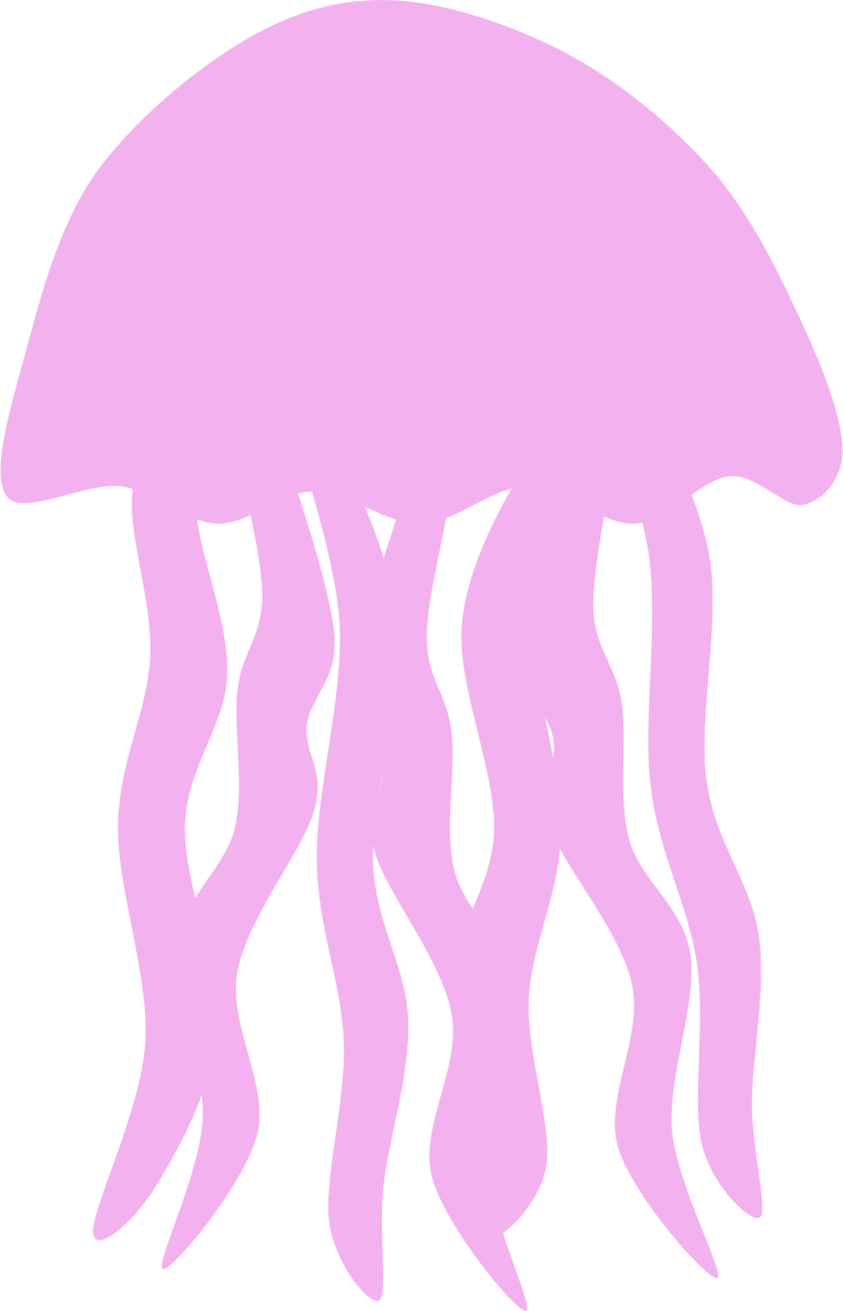 jellyfish clipart transparent background