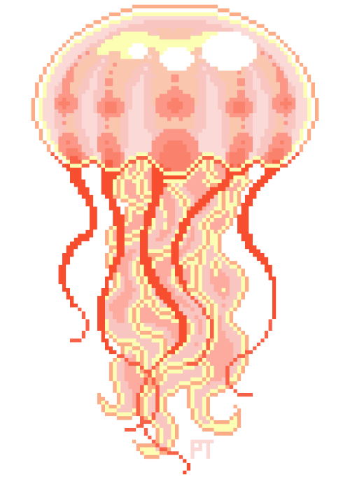Jellyfish tumblr transparent
