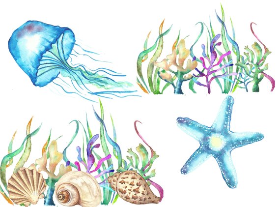 jellyfish clipart under sea