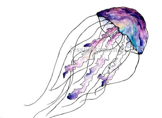 jellyfish clipart watercolor