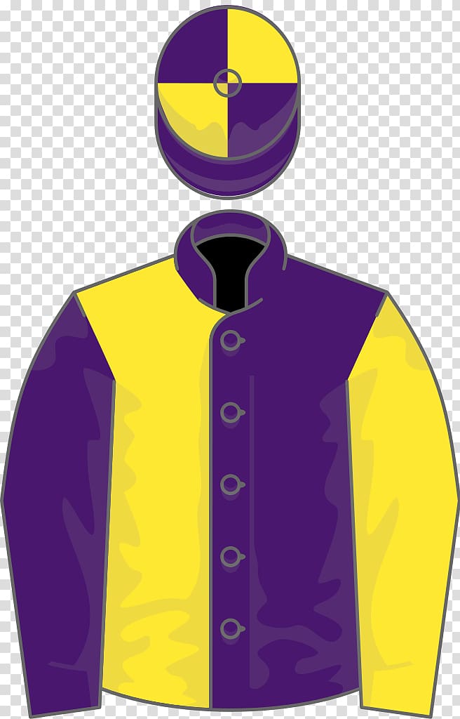 jersey clipart purple jacket