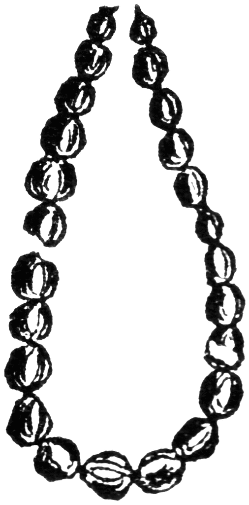 jewelry clipart bead necklace