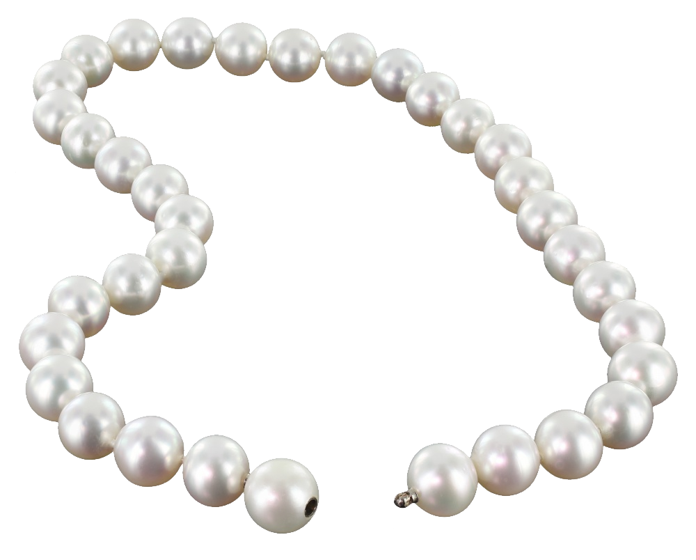 Pearls png images free. Pearl clipart string bead