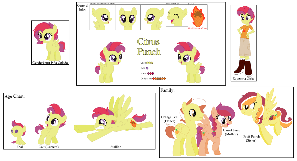 Citrus ref sheet by. Juice clipart fruit punch