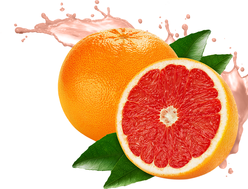 juice clipart grapefruit juice