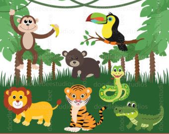 Rainforest clipart exotic animal. The best art images