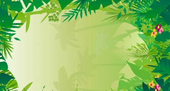 jungle clipart back ground