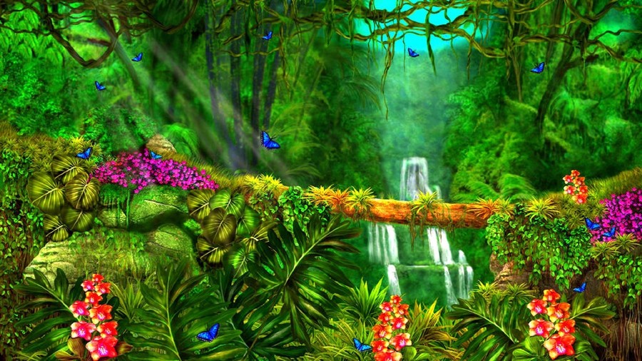 jungle clipart beautiful forest