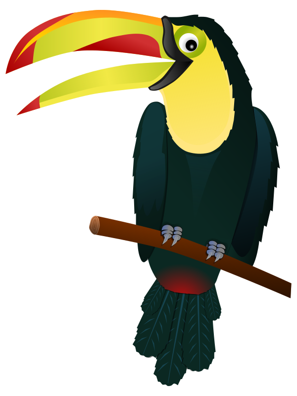 jungle clipart bird