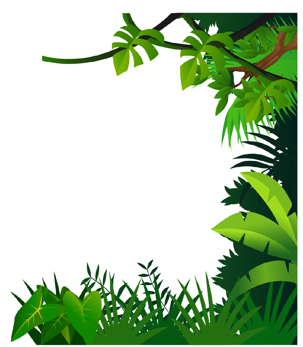 jungle clipart drawing
