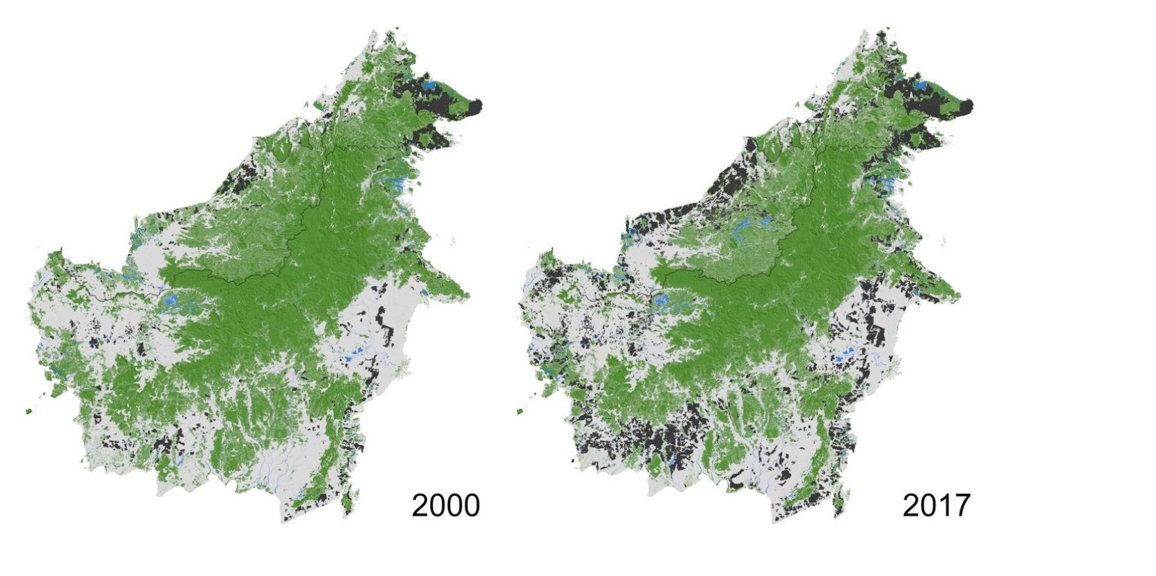Is deforestation in borneo. Jungle clipart forest clearing