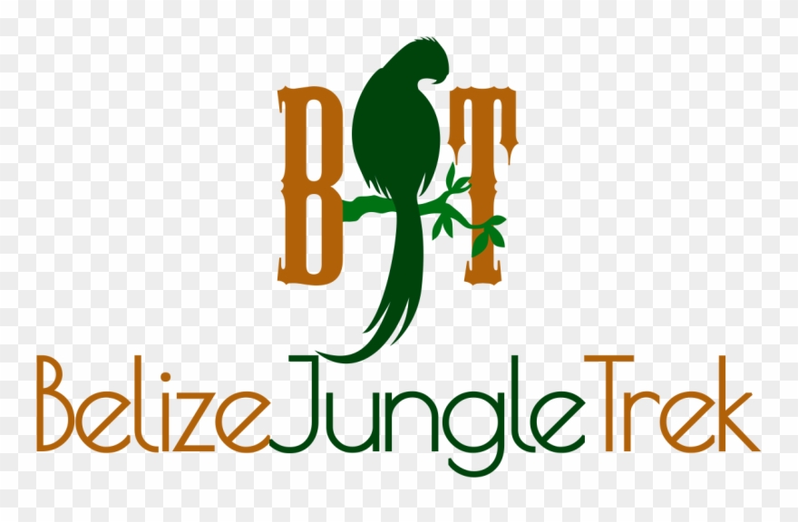 Jungle clipart illustration. Belize trek 