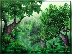 jungle clipart jungle scene