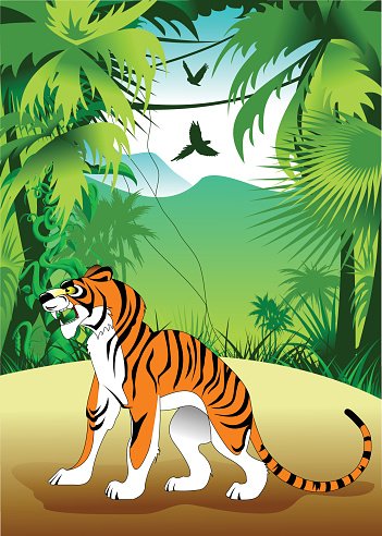 jungle clipart jungle tiger