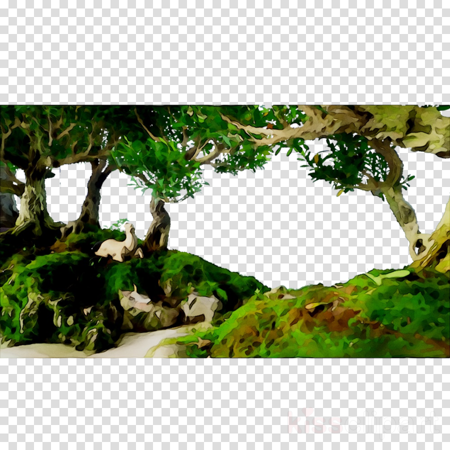 Jungle clipart land plant. Green grass background nature