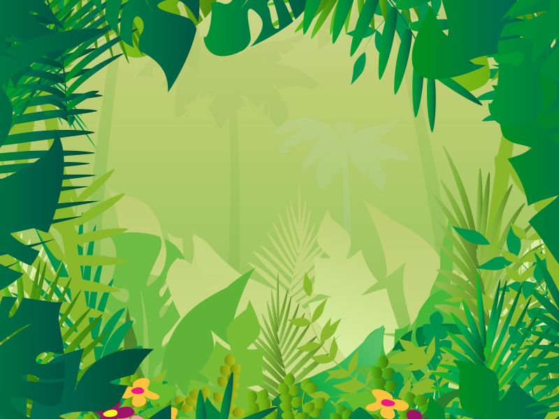 Safari background google search. Jungle clipart land plant