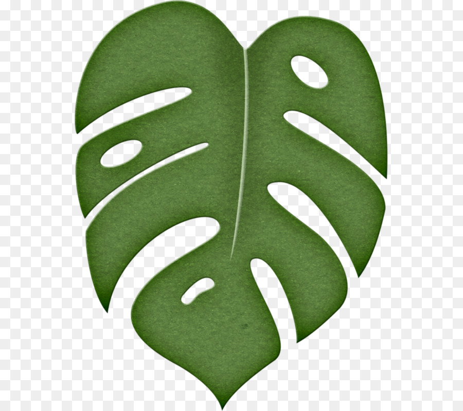 jungle clipart leaf