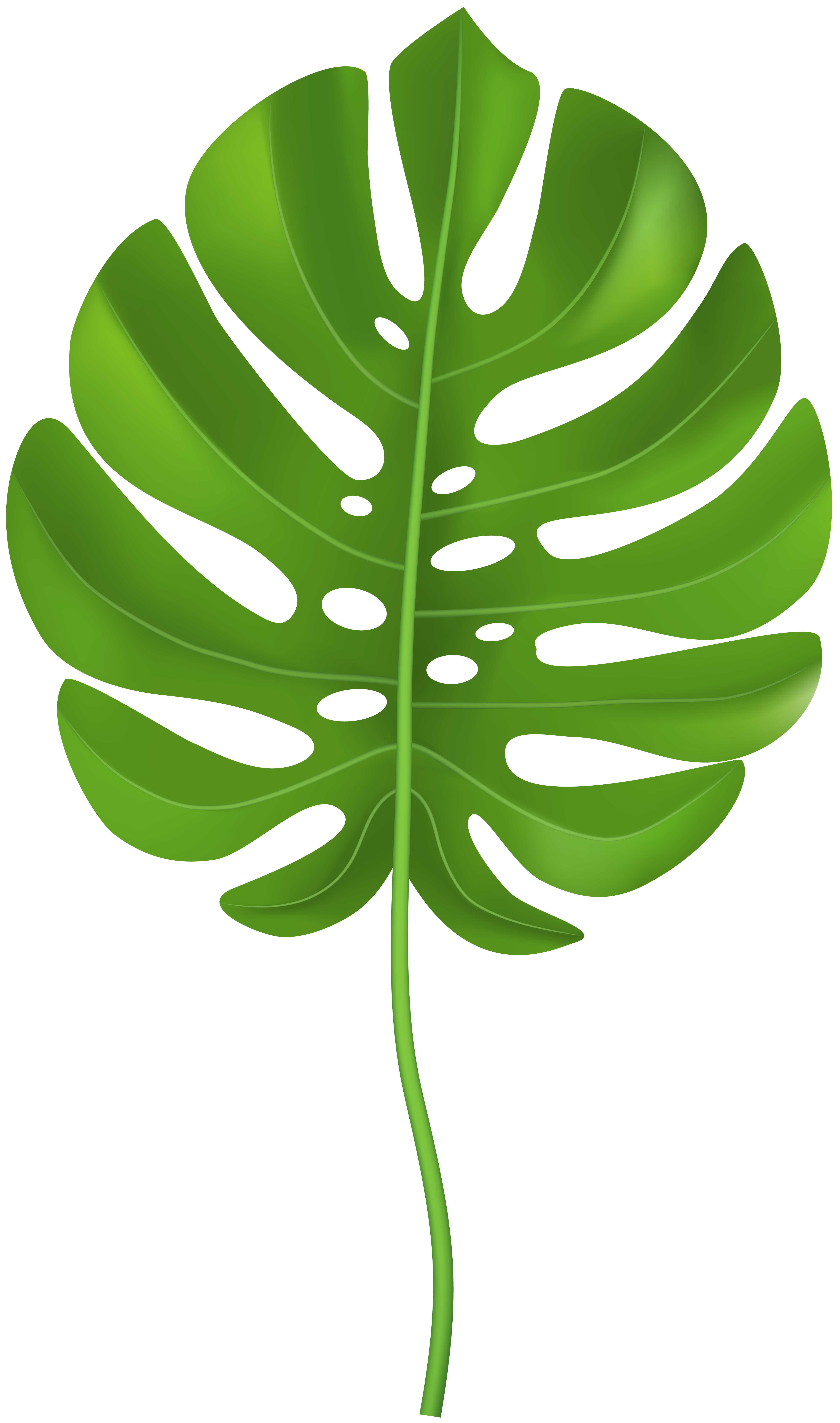 jungle clipart leaf